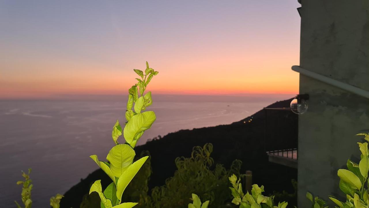 Sunset - Homy 5 Terre Retreat Leilighet Biassa Eksteriør bilde